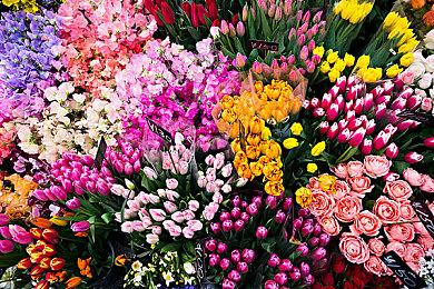 论鼠标垫的重要性 国际象棋大师因鼠标打滑惨遭淘汰