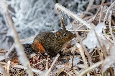 科幻FPS《原子之心》宣布延期发售